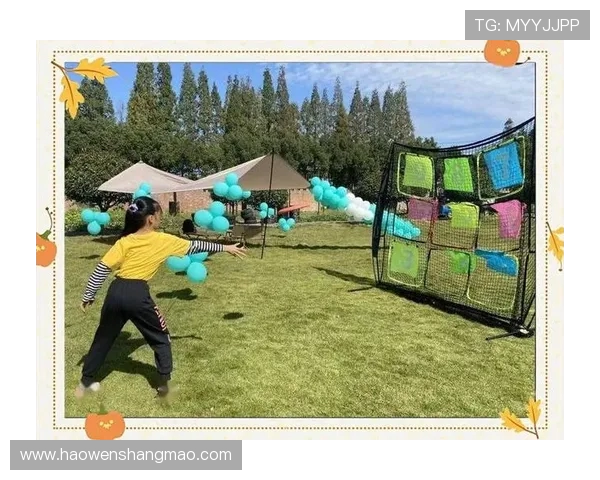 赵强独家分享飞盘技巧与心得体会助你提升飞盘水平的秘密武器