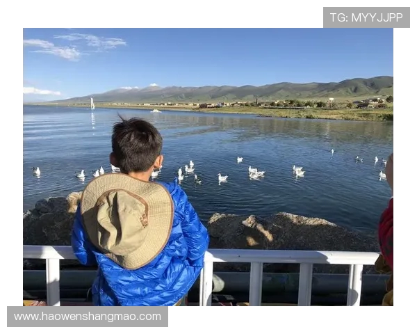 重庆篮球队区域防守革新之路探索与实践分析